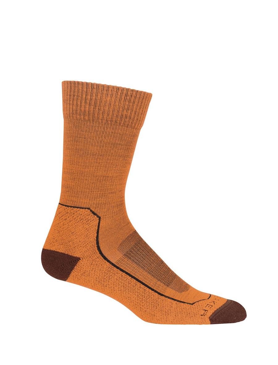 Flash / Espresso Women's Icebreaker Merino Hike+ Light Crew Socks | USA 1424CTVE